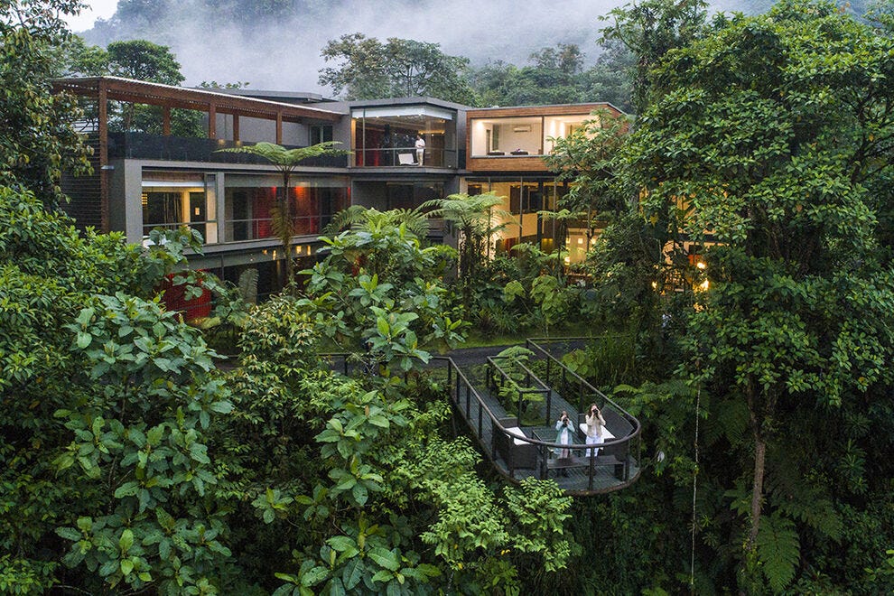 A luxury experience in the rainforest