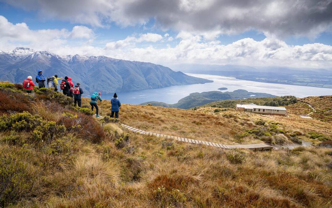 Fiordland holidays: An easy way to take on the Great Walks with Trips and Tramps
