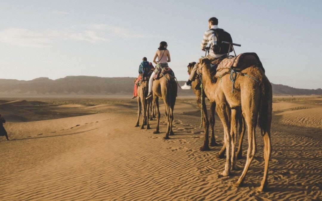 Top 8 Most Iconic Tours In Zagora, Morocco For 2022